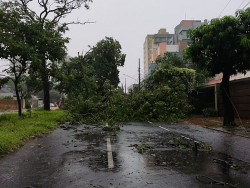 Estragos foram registrados em toda a cidade (Imagem: WhatZapp)