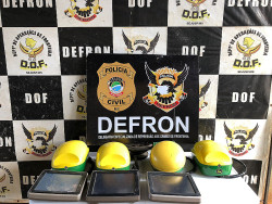 Defron recupera equipamentos de máquinas agrícolas avaliados em R$ 350 mil
