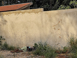 Corpo encontrado em Dourados (Imagem: Adilson Domingos)