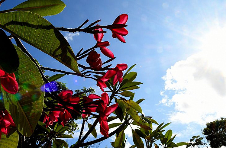 A tendência é de que as temperaturas máximas possam chegar aos 38°C (Imagem: Assessoria)