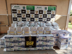 Durante a vistoria, os policiais localizaram a carga avaliada em R$ 9,5 milhões de agrotóxicos (Imagem: Assessoria/DOF)