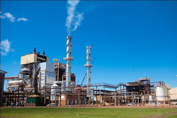 Usina São Fernando corre risco de desmanche, alerta vereadora