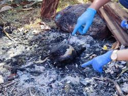 Corpo carbonizado encontrado na manhã de hoje (Imagem: Adilson Domingos)