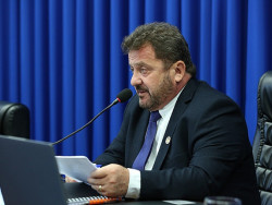 Laudir apresentou requerimento na 6ª Sessão Ordinária, nesta segunda-feira (Imagem: A. Frota)