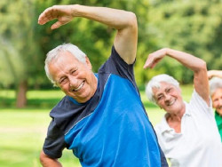 O idoso pode optar por um ou mais cursos, somente é preciso que se atente para que não seja no mesmo dia e horário (Imagem: Subcom)