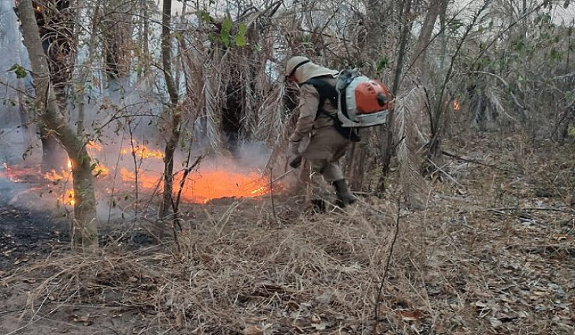 O Governo do Estado também tem atuado na prevenção e combate aos incêndios florestais em Mato Grosso do Sul (Imagem: Subcom)