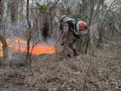 O Governo do Estado também tem atuado na prevenção e combate aos incêndios florestais em Mato Grosso do Sul (Imagem: Subcom)