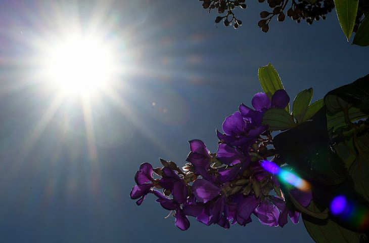 O dia começa com temperaturas mínimas entre 20°C a 23°C e as máximas podem ficar entre 29°C a 32°C no Estado (Imagem: Subcom)