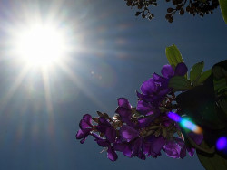 O dia começa com temperaturas mínimas entre 20°C a 23°C e as máximas podem ficar entre 29°C a 32°C no Estado (Imagem: Subcom)