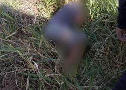 Homem tenta correr, mas é perseguido por matadores e executado na fronteira