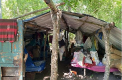 Fazenda de MS é condenada por deixar trabalhadores em condições degradantes