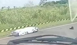 Funcionário terceirizado morre atropelado na BR-163 em Juti