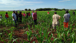 Local onde corpo foi encontrado (Adilson Domingos/Campo Grande News)
