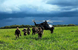 Em dez dias, Nova Aliança destrói 748 toneladas de maconha na fronteira