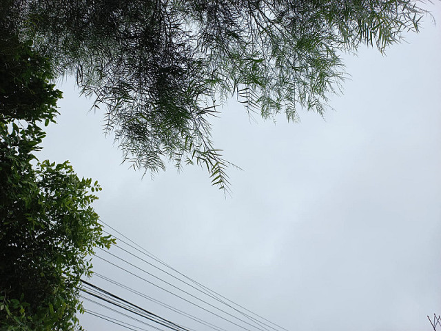 Garoa e frio marcam este sábado em Dourados (Imagem: Dourados Informa)