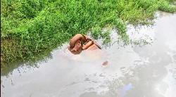 Carro cai em rio e bombeiros encontram uma pessoa morta (Imagem: Olimar Gamarra)