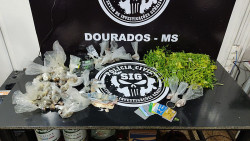 Ladrão escala telhado, invade mercado e rouba até cheiro verde