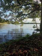 A tendência é de tempo quente e seco devido a atuação de uma circulação anticiclônica (Imagem: Dourados Informa)