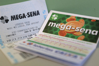 A aposta simples, com seis dezenas marcadas, custa R$ 4,50 (Imagem: Agência Brasil)