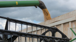 Balança Comercial de MS acumula superávit de US$ 1 bilhão no 1º trimestre