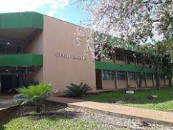 Podem participar docentes e técnicos administrativos efetivos e também professores visitantes ou substitutos (Imagem: Reprodução)