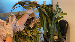 A Polícia Federal prende homem por crime ambiental em Corumbá/MS