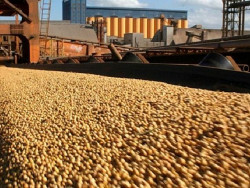 Em termos de destino das exportações sul-mato-grossenses, persiste uma concentração nas vendas à China no primeiro trimestre do ano (Imagem: Subcom)