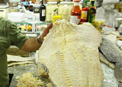 Preço do bacalhau varia 98% em Dourados, aponta pesquisa do Procon