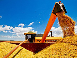 Agricultores já concluíram colheita da soja e plantio do milho em MS
