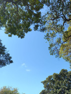 Mato Grosso do Sul pode registrar as menores temperaturas associadas a esta frente fria na madrugada desta sexta-feira (Imagem: Dourados Informa)