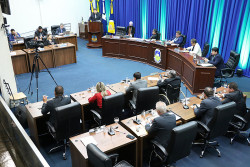 Câmara de Dourados aprova lei de incentivo à adoção de animais abandonados