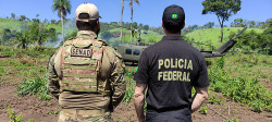 Na 31ª fase, Nova Aliança combate lavouras de maconha na fronteira