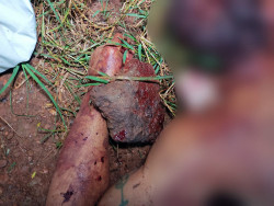 Homem é assassino com golpes de faca e pedradas em Dourados (Imagem: Adilson Domingos)