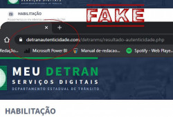 Com o mesmo aspecto, clonado do site do Detran e um domínio completamente diferente do oficial (Imagem: Assessoria)