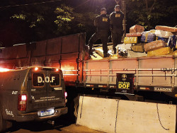 DOF apreende 7,2 toneladas de maconha em caminhão com farelo de soja
