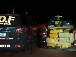 DOF apreende maconha com apoio de moradores de aldeia indígena