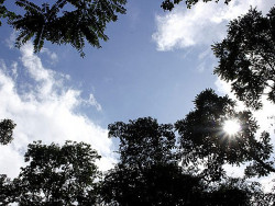 A temperatura deve sofrer mudanças significativas a partir de amanhã (Imagem: Subcom)