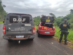 DOF apreende maconha que estava sendo levada de MS para o Paraná