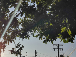 Dourados tem manhã mais fria do ano, 4,8 graus às 6h05