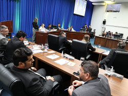Vereadores de Dourados aprovam 16 projetos na 15ª sessão ordinária do ano