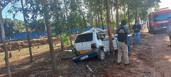 Rapaz morre após perder controle de Fiat Uno e bater em eucalipto