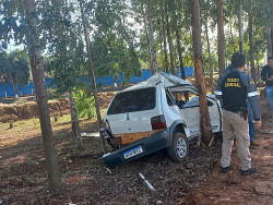 Rapaz morre após perder controle de Fiat Uno e bater em eucalipto