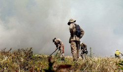 Governo institui Plano Estadual de Manejo Integrado do Fogo para prevenir e combater incêndios florestais