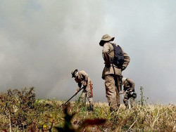 Governo institui Plano Estadual de Manejo Integrado do Fogo para prevenir e combater incêndios florestais