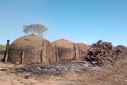 Ambiental fecha carvoaria irregular e multa empresa em R$ 18 mil
