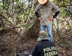 Onças do Pantanal foram envenenadas com agrotóxico proibido no Brasil