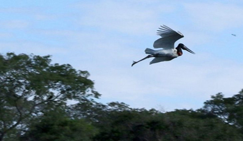 Tempo continua seco em boa parte de Mato Grosso do Sul (Imagem: Subcom)