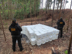 DOF apreende agrotóxico contrabandeado avaliado em R$ 3 milhões
