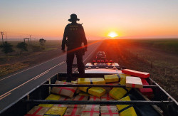 Ford F-4000 com mais de três toneladas de maconha foi recuperado pelo DOF