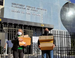 MP enterra teoria conspiratória de Lia Nogueira sobre farra da publicidade